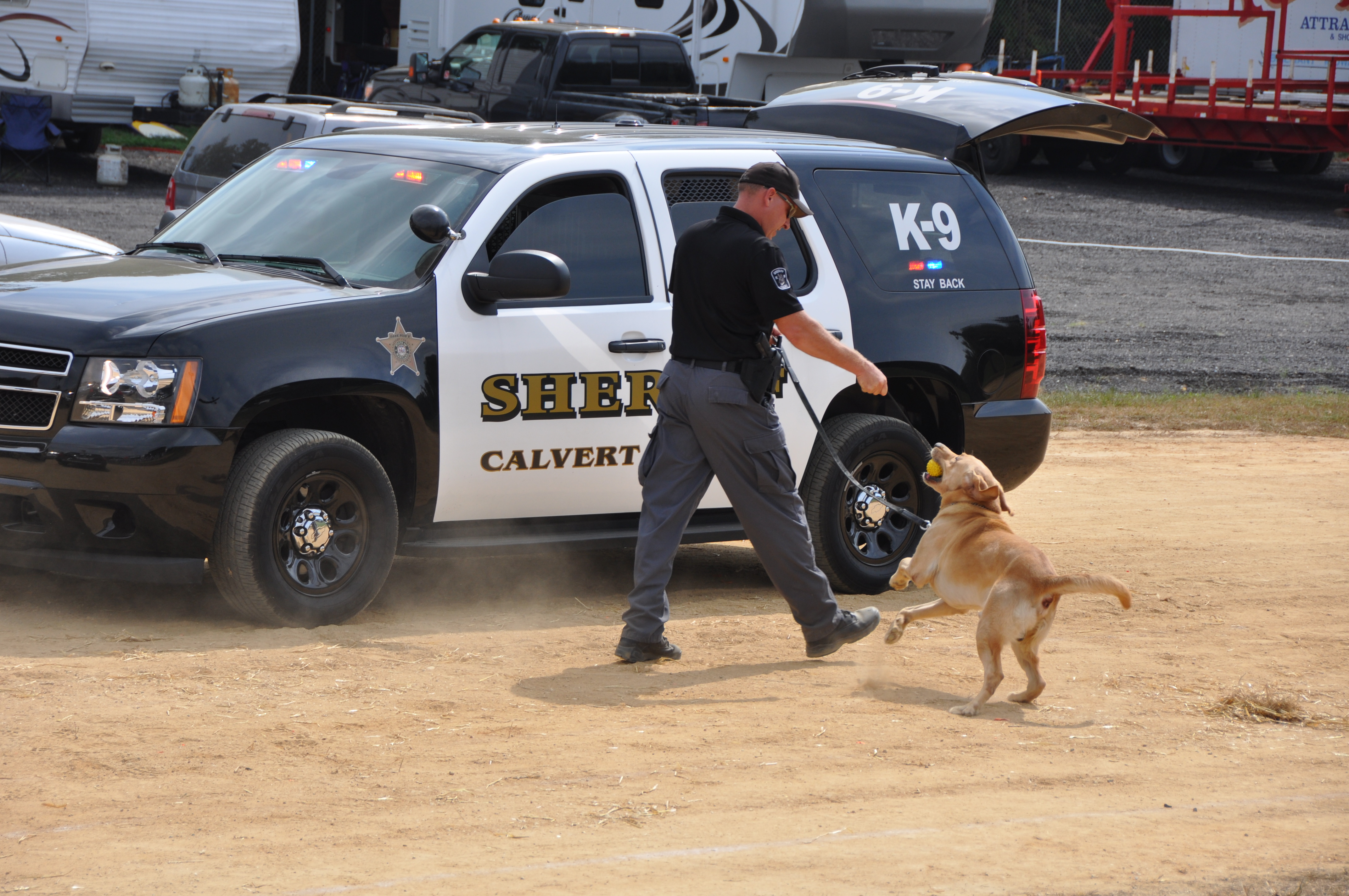 Officer with a Police Dog Next to a Cruiser