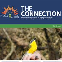 link to the connection newsletter