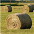 Hay, Straw & Grain