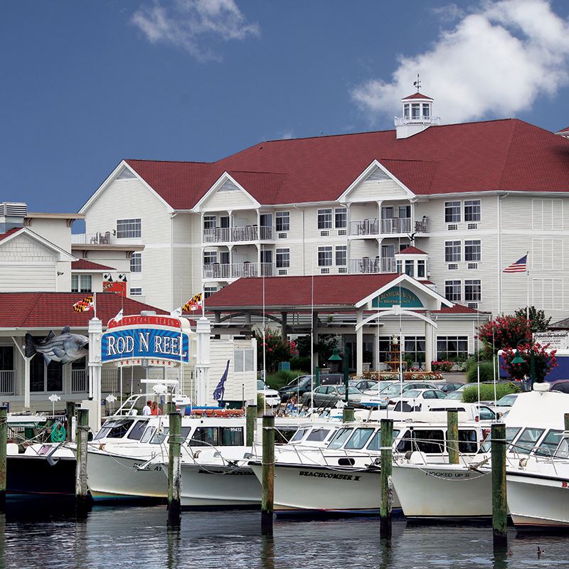 Rod 'N' Reel resort and marina