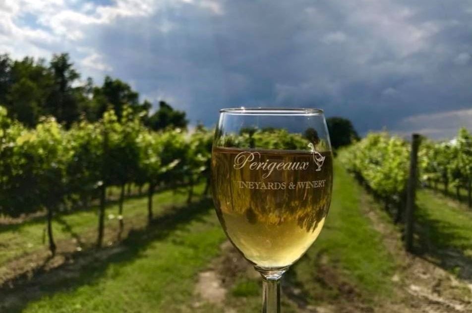 Wineglass with white wine overlooking a vineyard