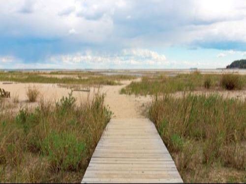 Flag Ponds boardwalk to beach
