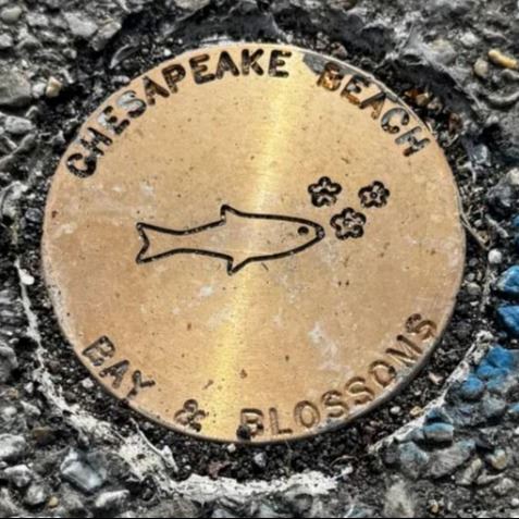 brass emblem with a fish and engravings