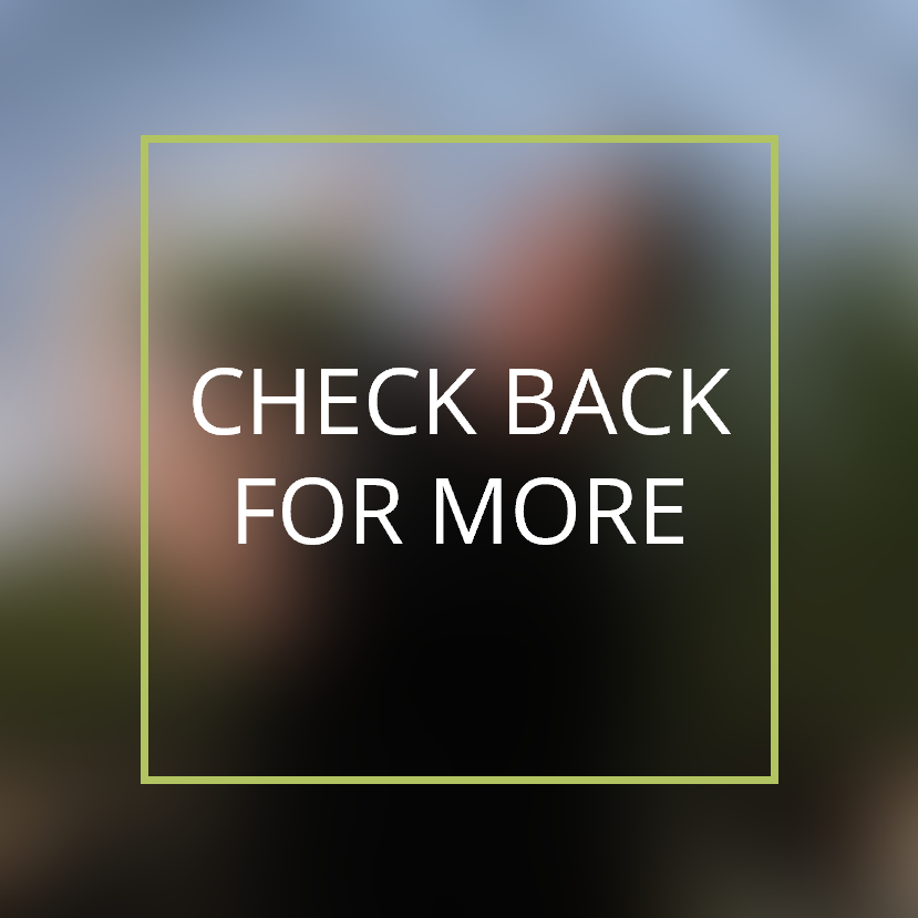 blurred photo with overlay text that says check back for more