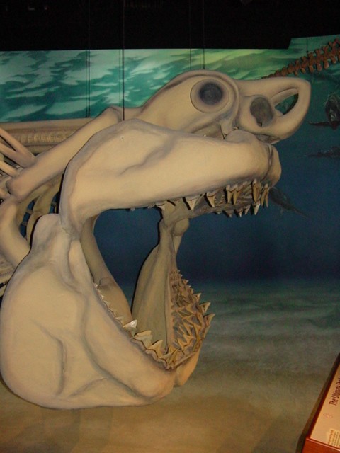 Calvert Marine Museum